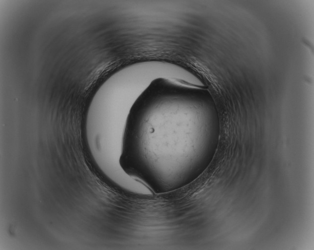 X0000091460693200709131734