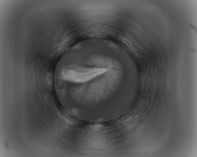 X0000091460695200709131734