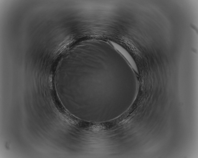 X0000091460696200709131734