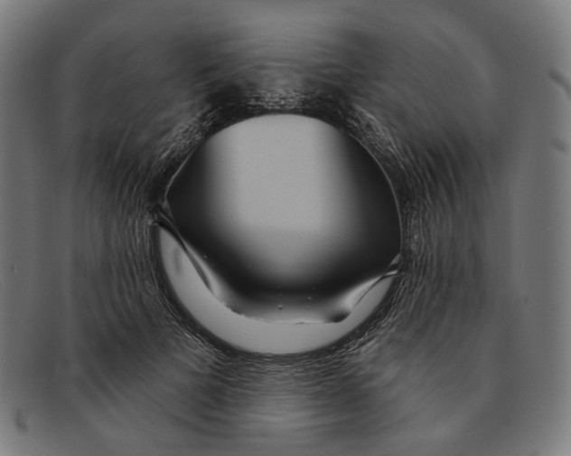X0000091460697200709131734