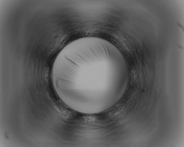X0000091460698200709131734