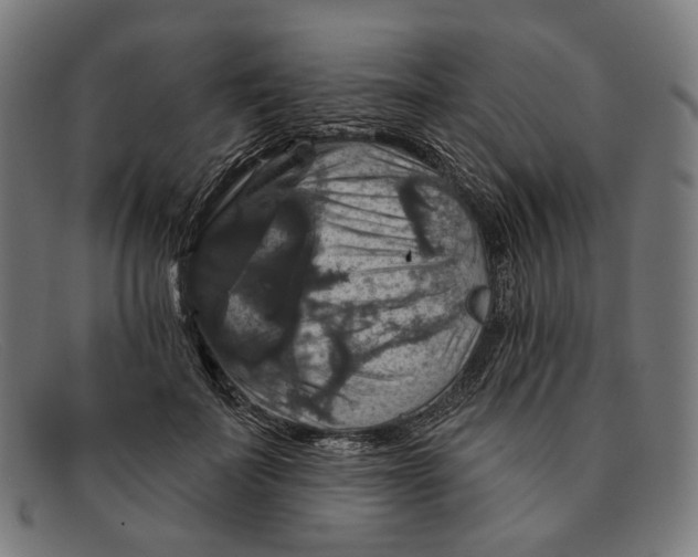 X0000091460699200709131734