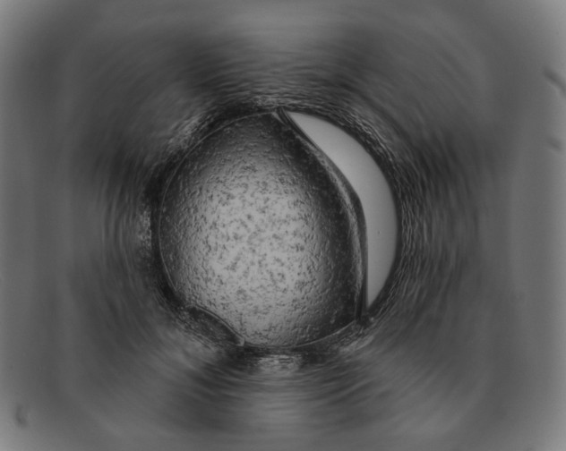 X0000091460700200709131734