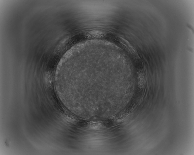 X0000091460701200709131734