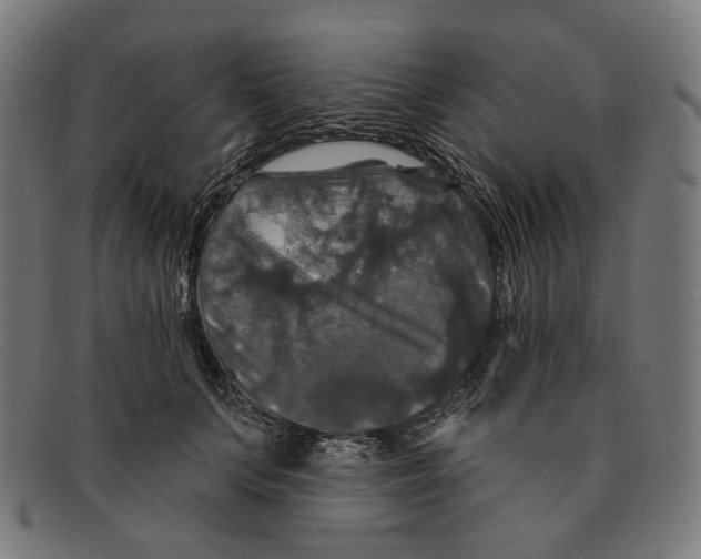 X0000091460703200709131734
