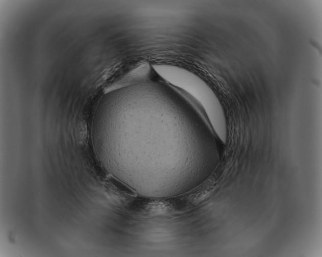 X0000091460704200709131734