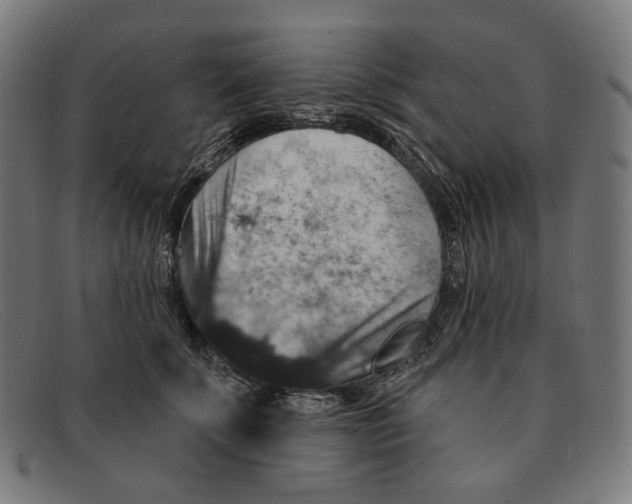 X0000091460707200709131734