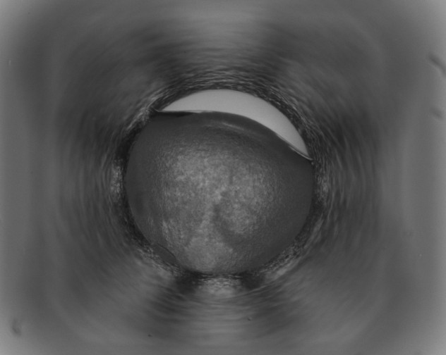 X0000091460708200709131734