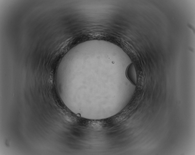 X0000091460710200709131734