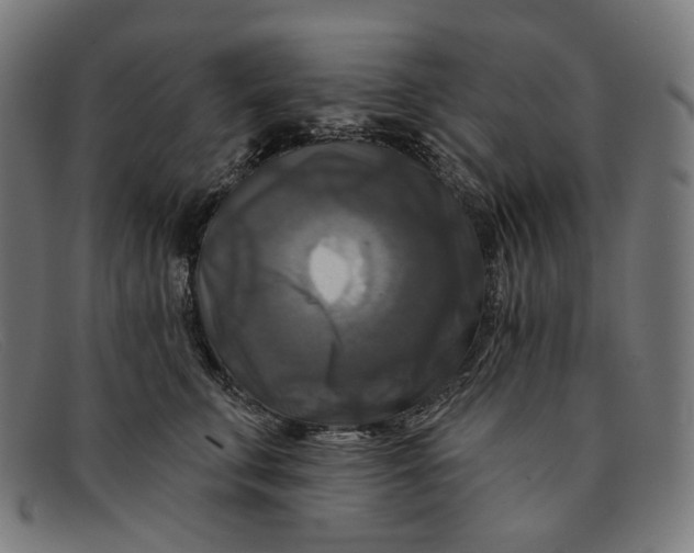 X0000091460711200709131734