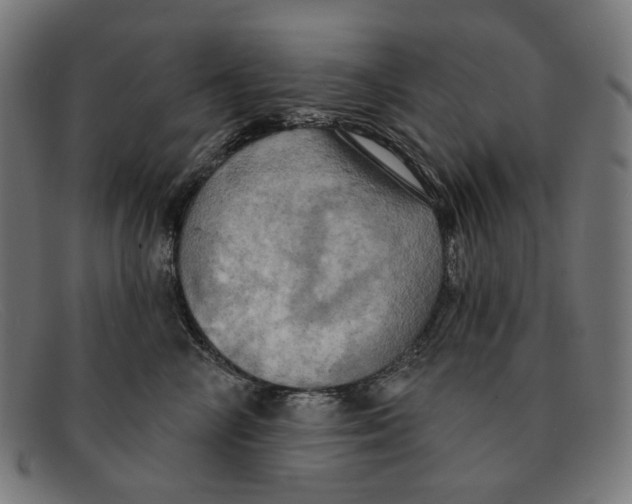X0000091460714200709131734