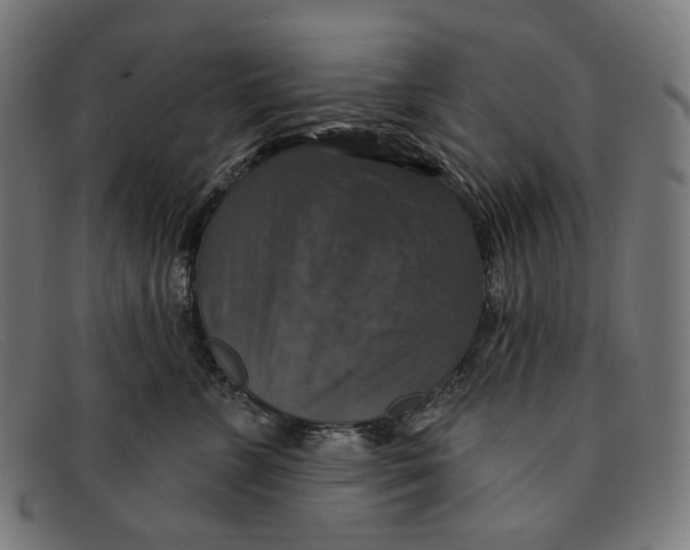 X0000091460715200709131734