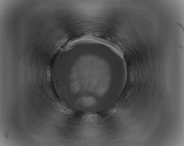 X0000091460716200709131734