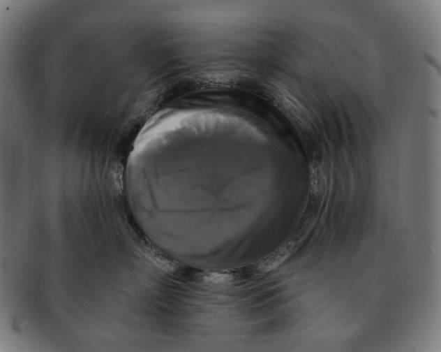 X0000091460718200709131734