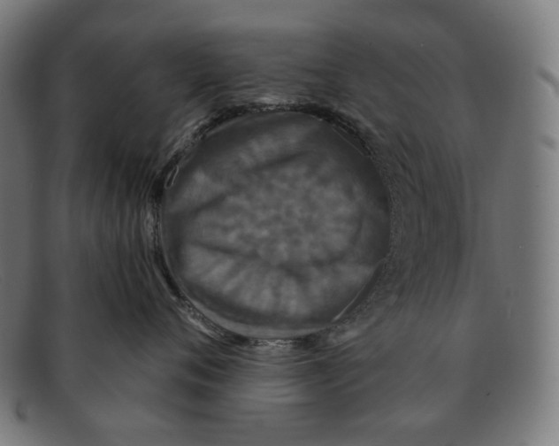 X0000091460720200709131734