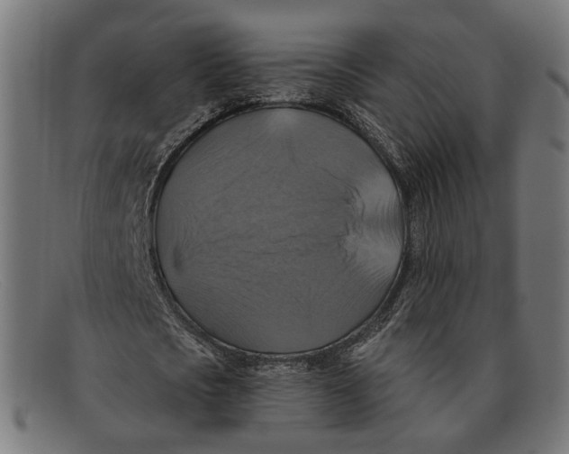 X0000091460721200709131733