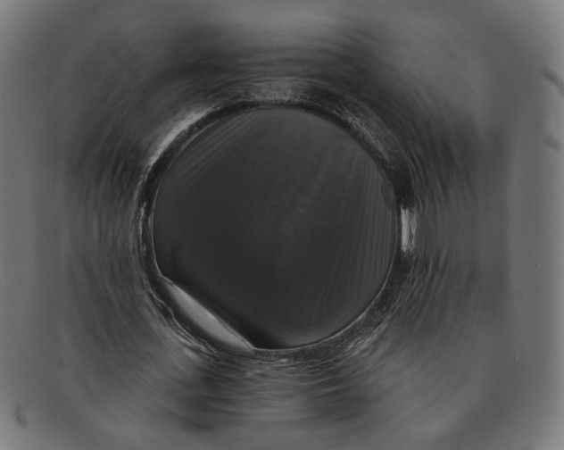 X0000091460723200709131733
