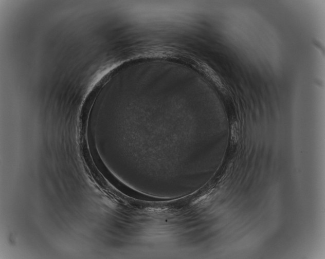 X0000091460724200709131733
