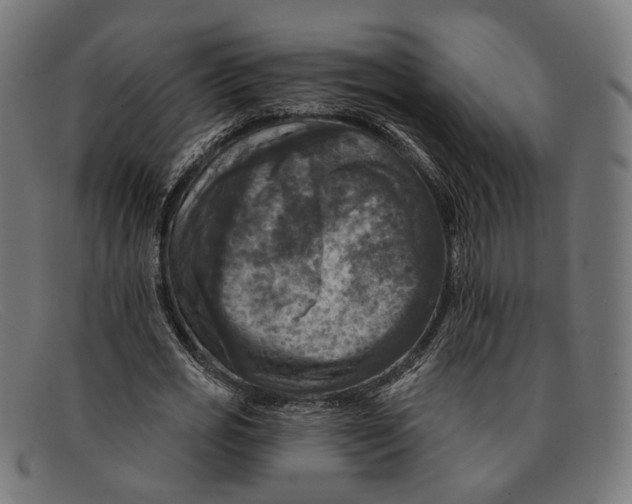 X0000091460725200709131733
