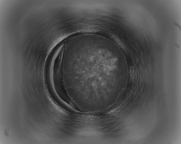 X0000091460726200709131733