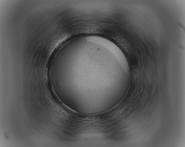 X0000091460727200709131733