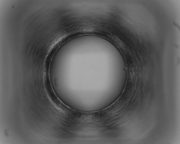 X0000091460728200709131733