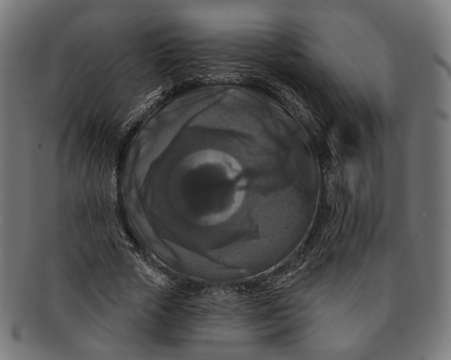 X0000091460729200709131733