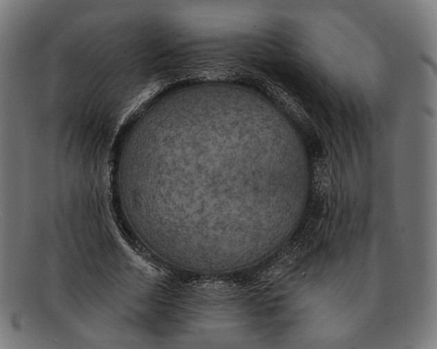 X0000091460730200709131733