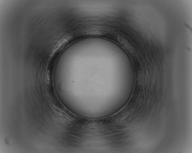X0000091460731200709131733