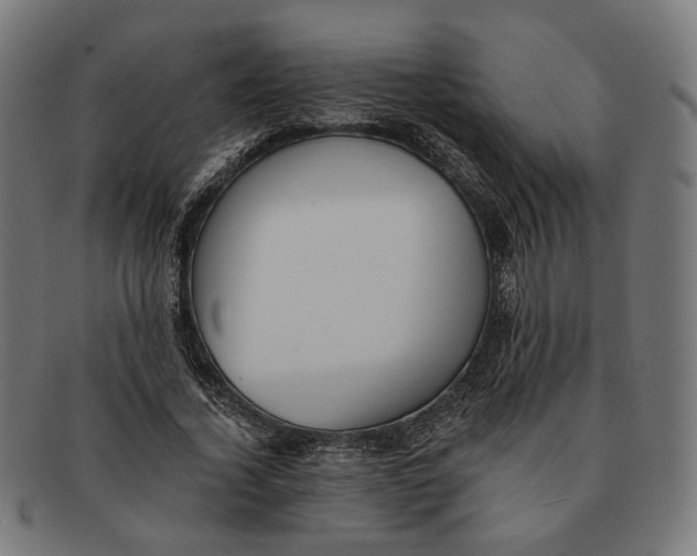 X0000091460732200709131733