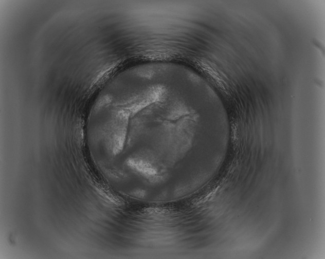 X0000091460733200709131733