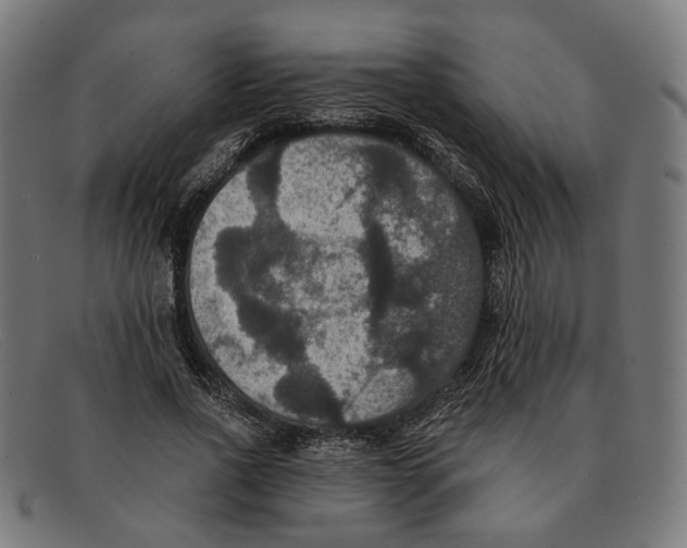 X0000091460734200709131733