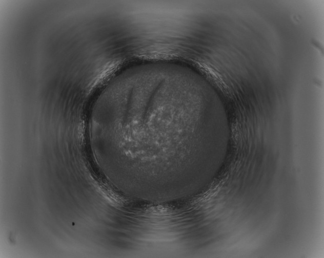 X0000091460735200709131733