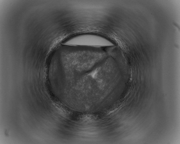 X0000091460736200709131733