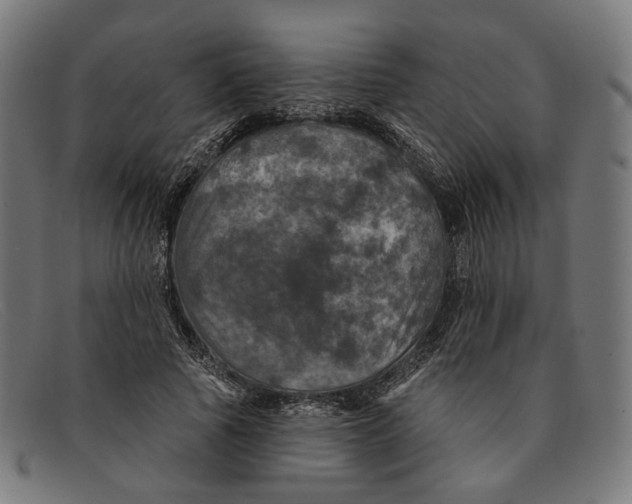 X0000091460737200709131733