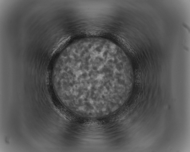 X0000091460738200709131733