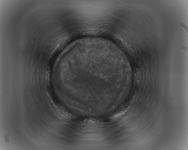 X0000091460739200709131733