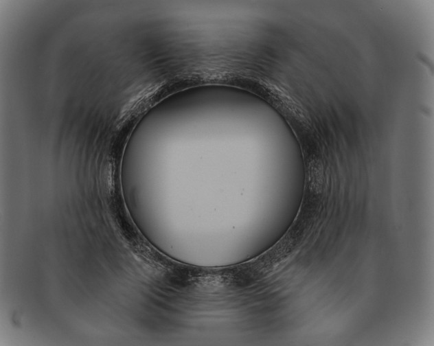 X0000091460740200709131733