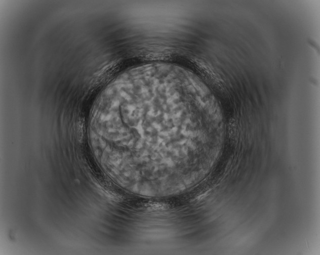 X0000091460741200709131733