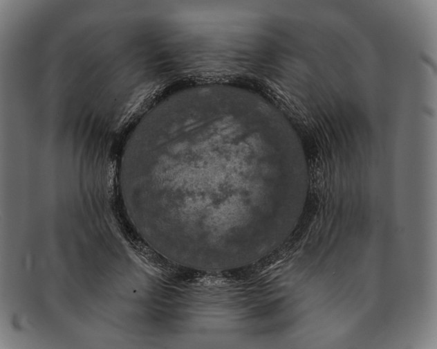 X0000091460742200709131733