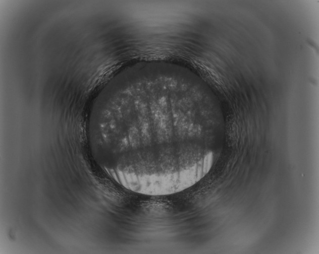 X0000091460743200709131733