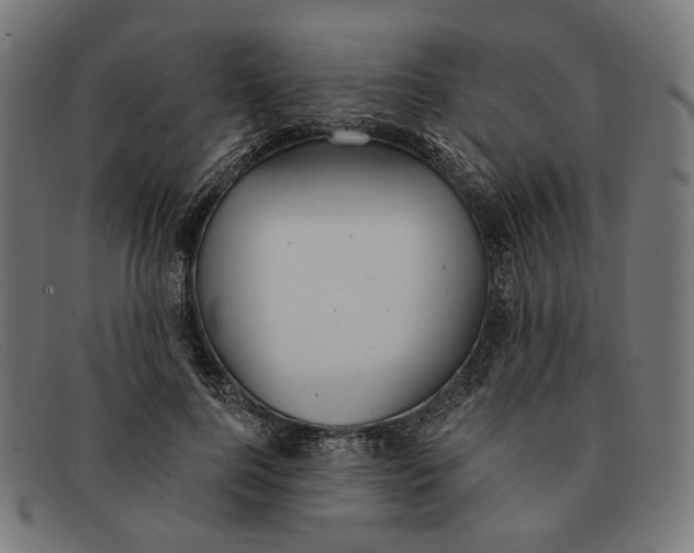 X0000091460744200709131733