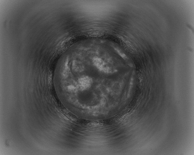 X0000091460745200709131733