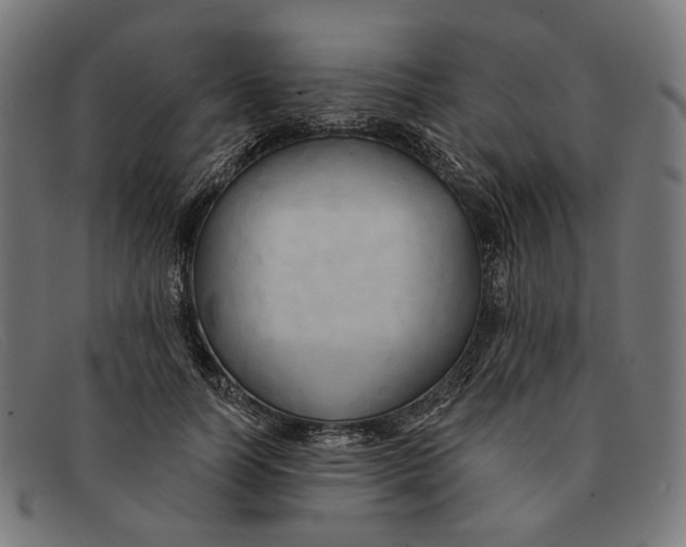 X0000091460746200709131733