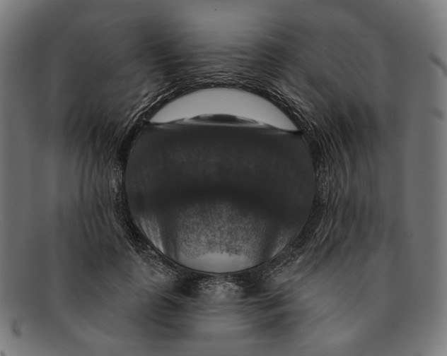X0000091460747200709131733
