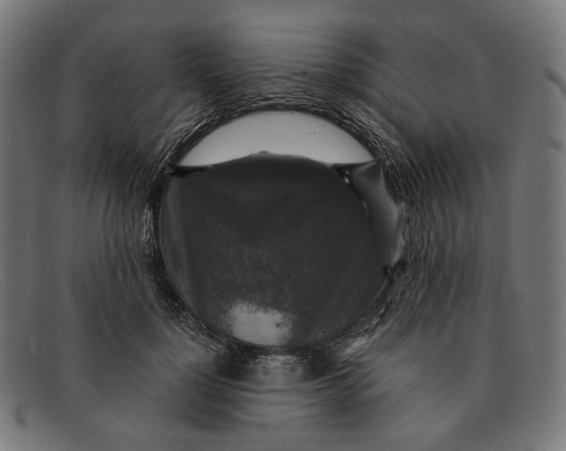 X0000091460748200709131733