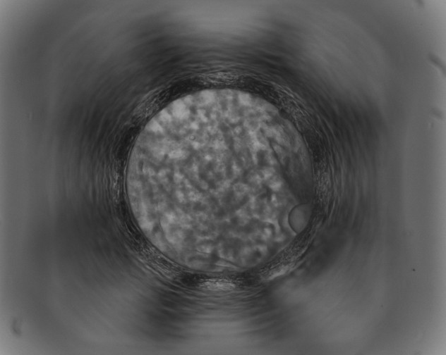 X0000091460749200709131734