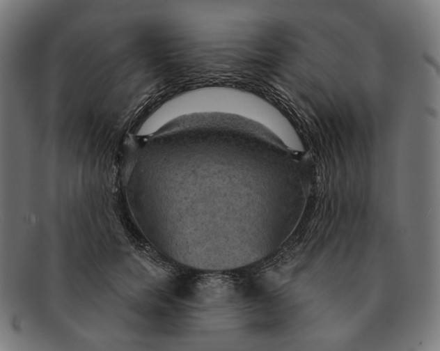 X0000091460750200709131734