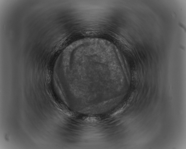 X0000091460751200709131734