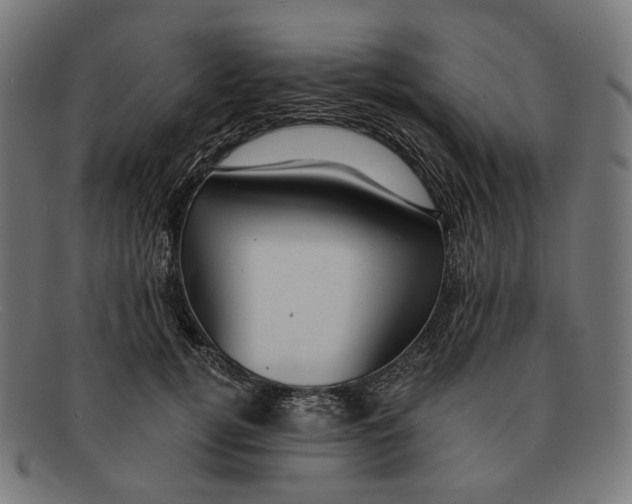X0000091460752200709131734